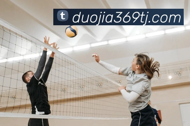 mksports直播服务体系